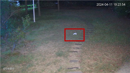 AI 5_副本.jpg AI 5_副本.jpg