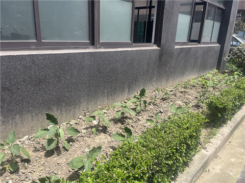 思才3-前_副本.jpg 思才3-前_副本.jpg